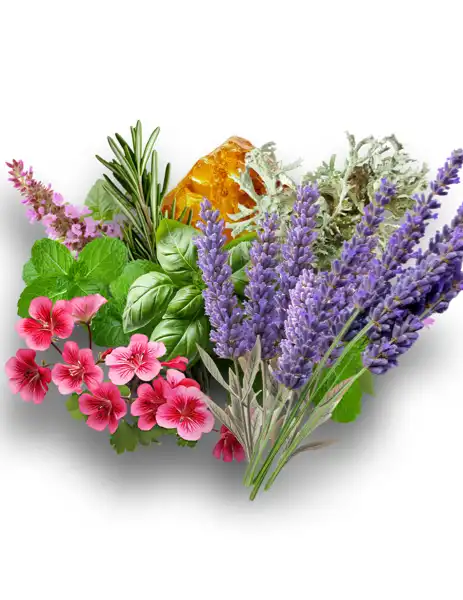 Homme du Jour Clean Fragrance - Clean Fragrances